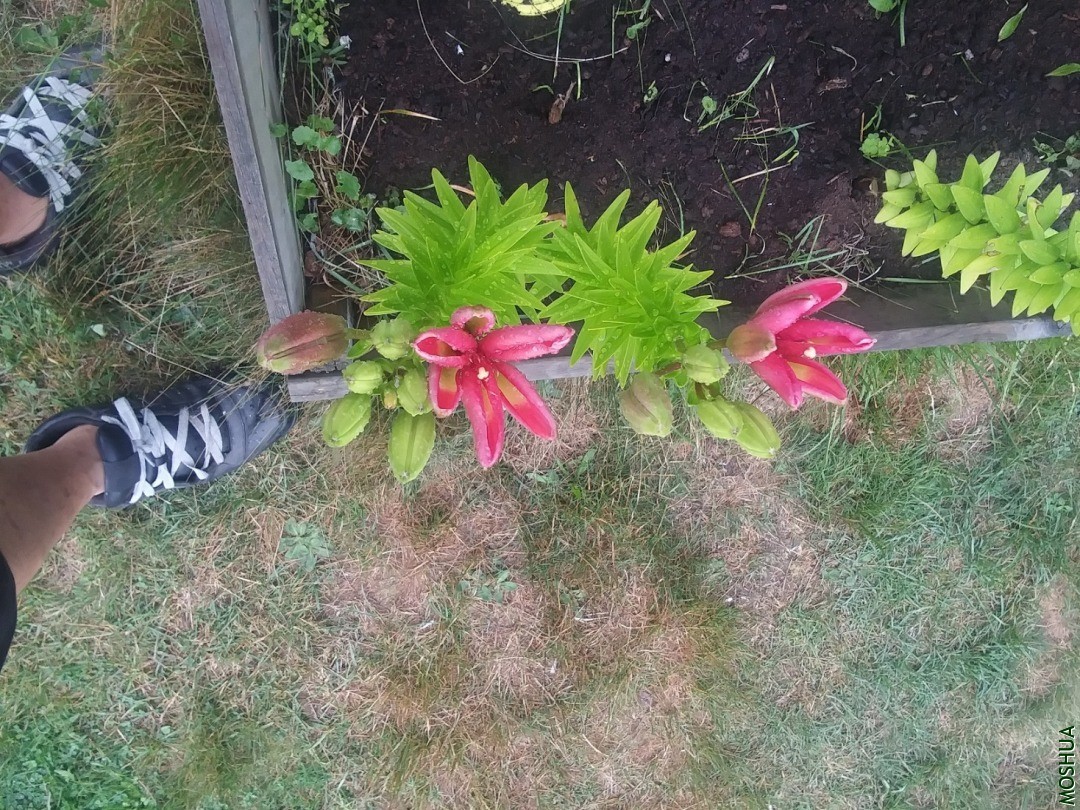 20200723_095701.jpg