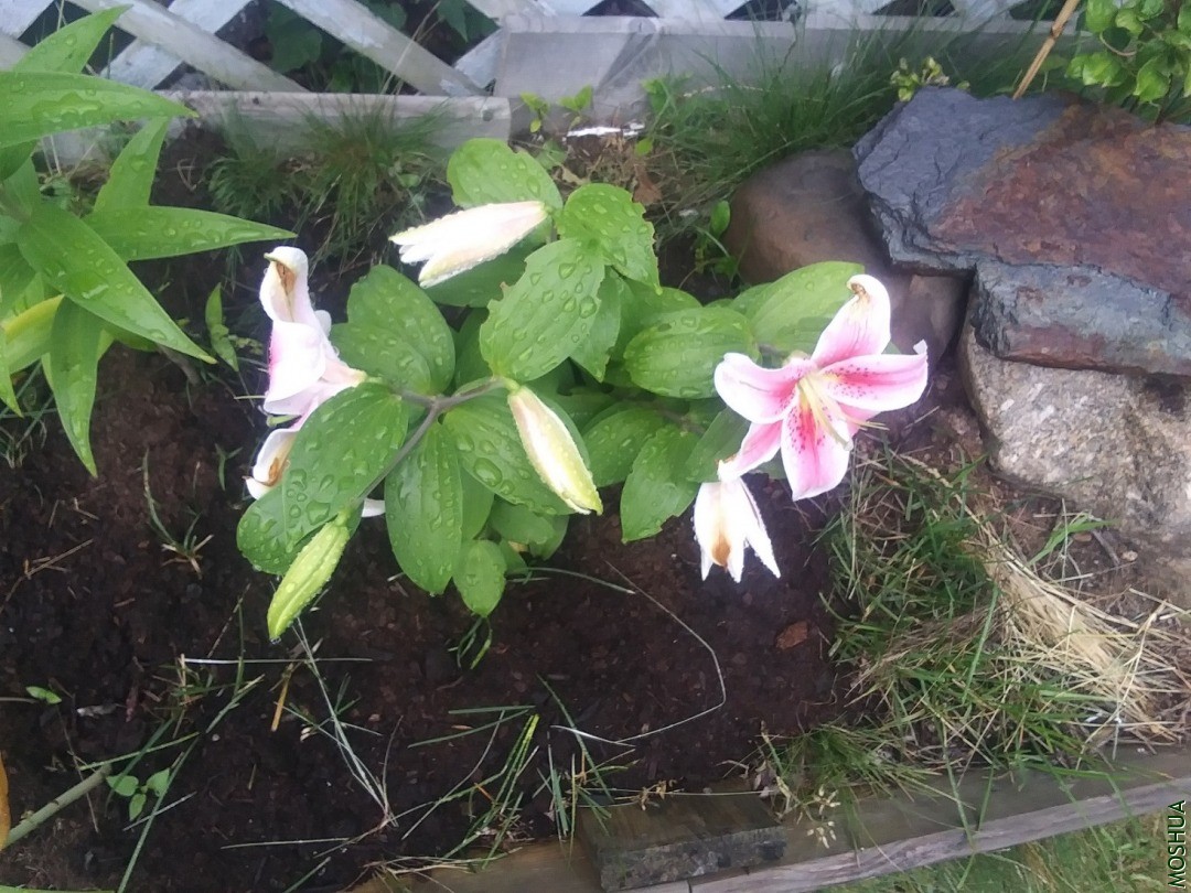 20200723_095455.jpg