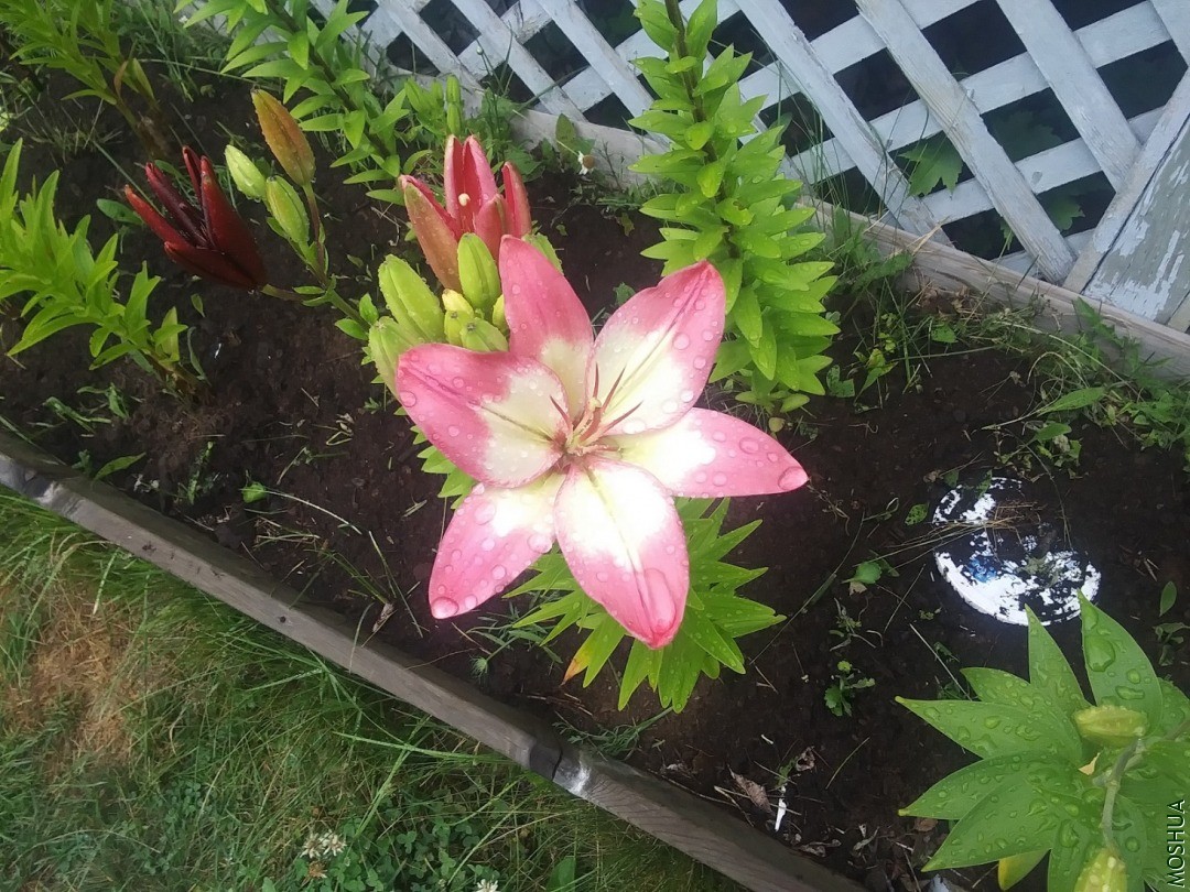 20200723_095504.jpg