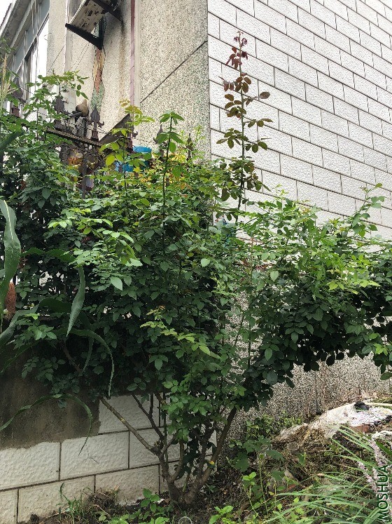 qqIMG_5929.JPG