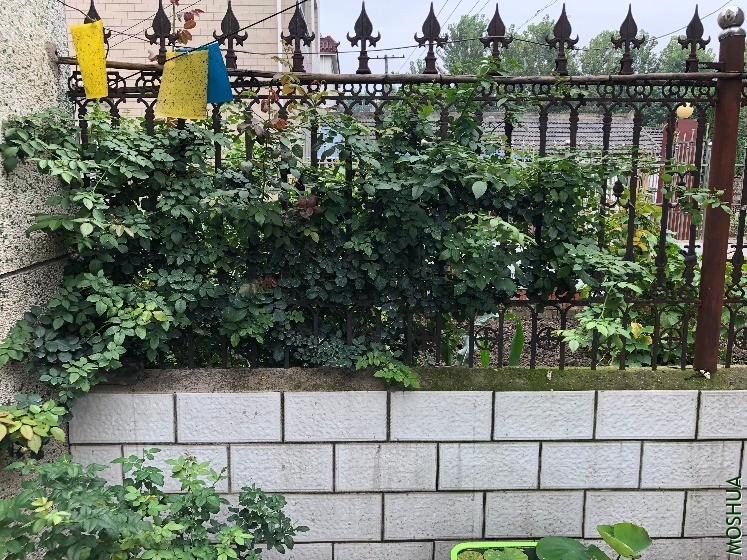 qqIMG_5931.JPG