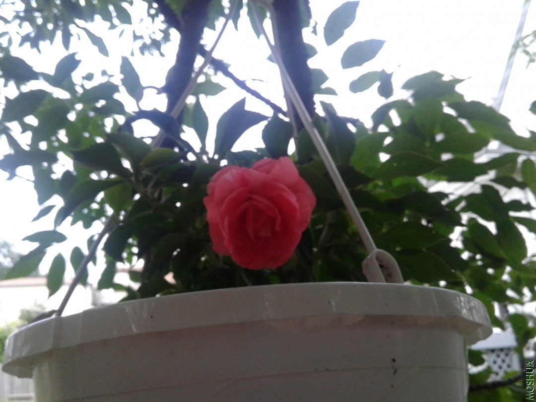 20180725_191430.jpg