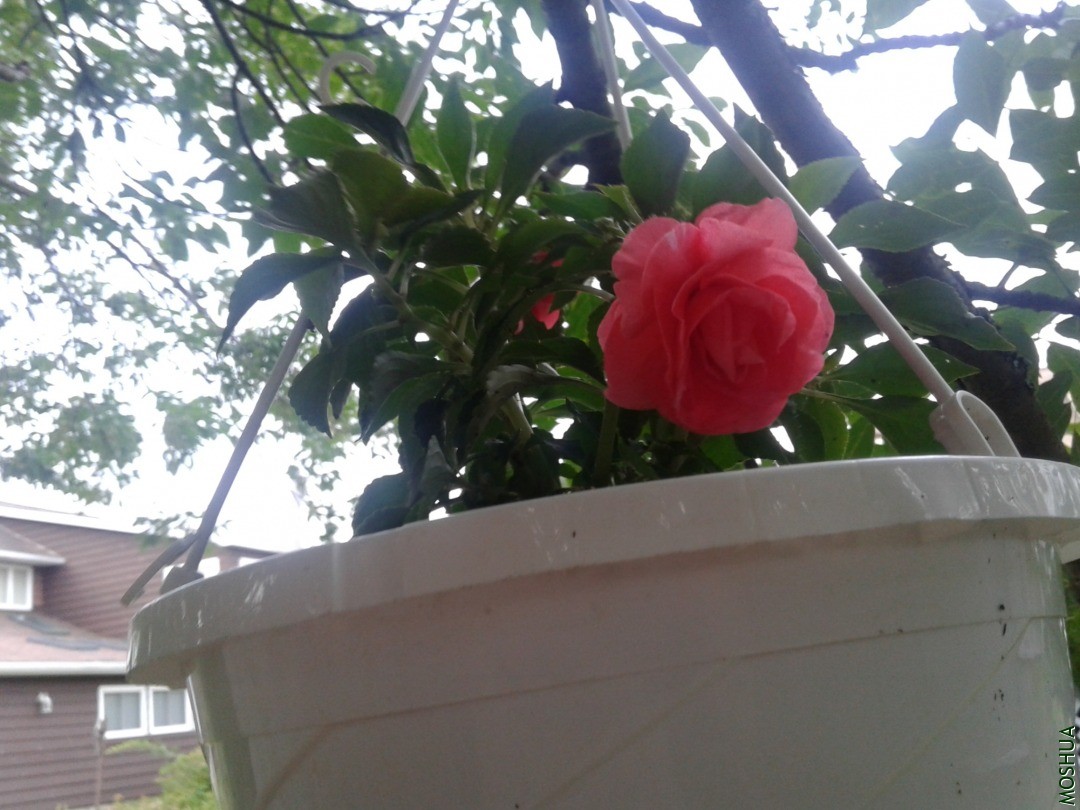 20180725_191450.jpg