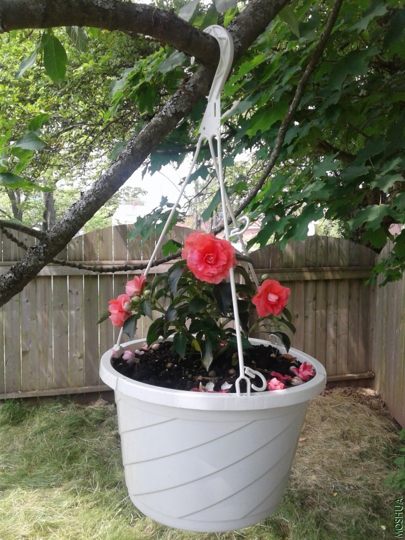 20180701_143357.jpg