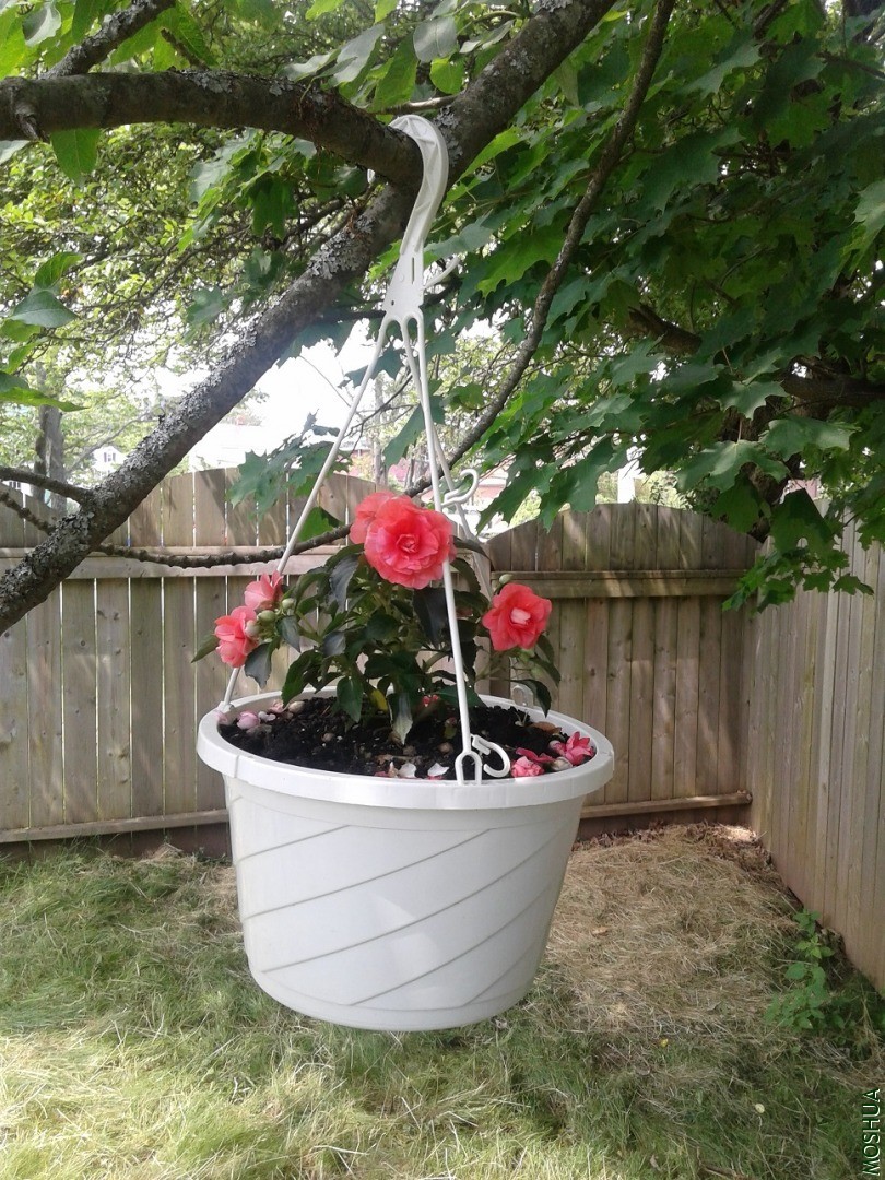 20180701_143349.jpg