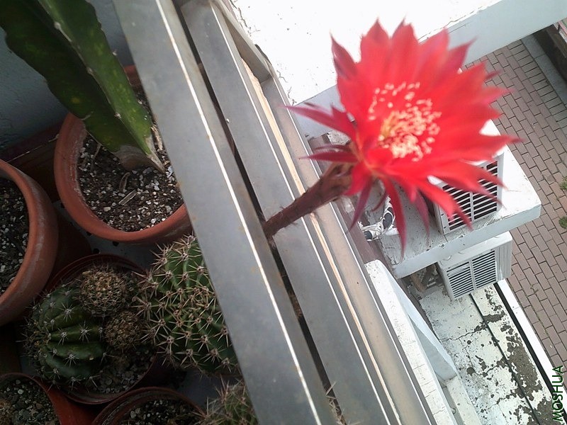 DSCF0010 (3)_����.jpg