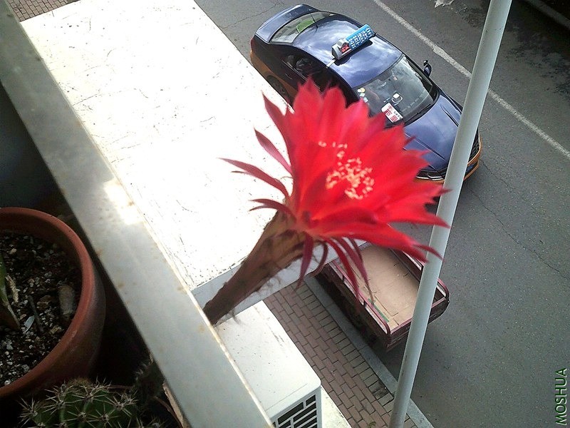 DSCF0013 (2)_����.jpg