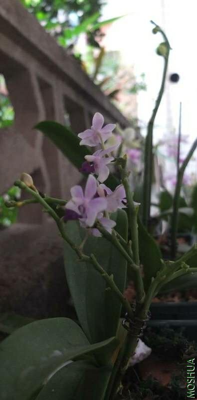 ΢��ͼƬ_20200805224850.jpg