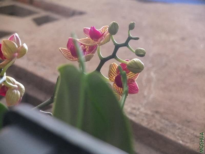΢��ͼƬ_20200805224927.jpg