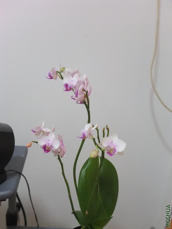 ΢��ͼƬ_20200805231539.jpg