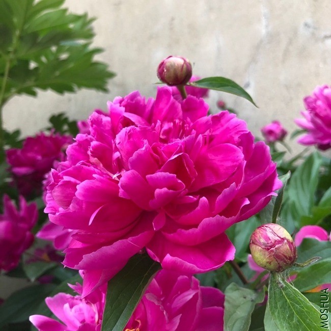 QQͼƬ20200809103035.jpg