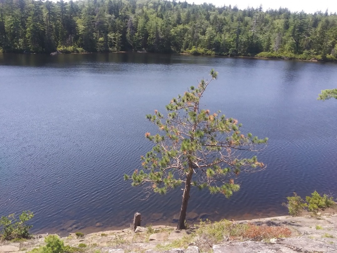 20200810_133642.jpg