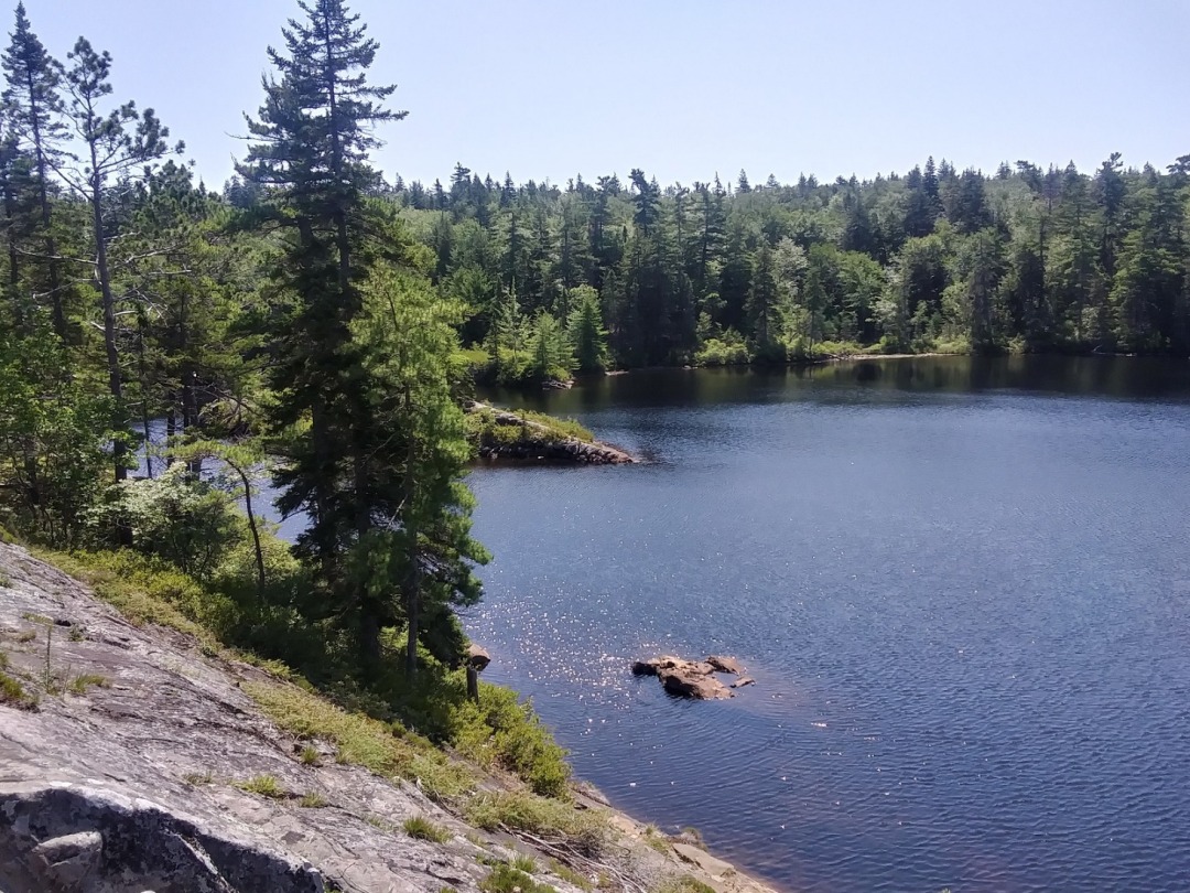 20200810_133656_HDR.jpg