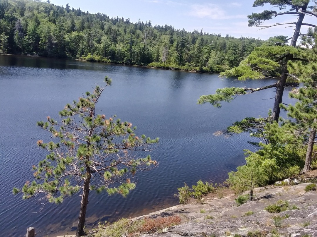 20200810_133647_HDR.jpg