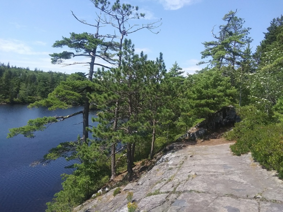 20200810_133651.jpg
