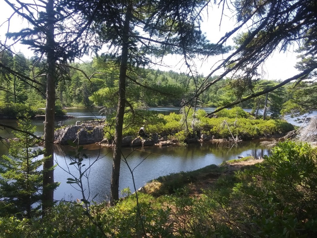 20200810_133957.jpg