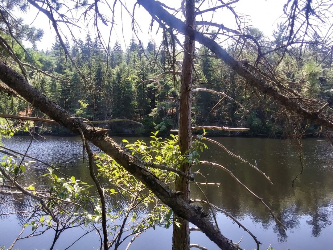 20200810_134246_HDR.jpg