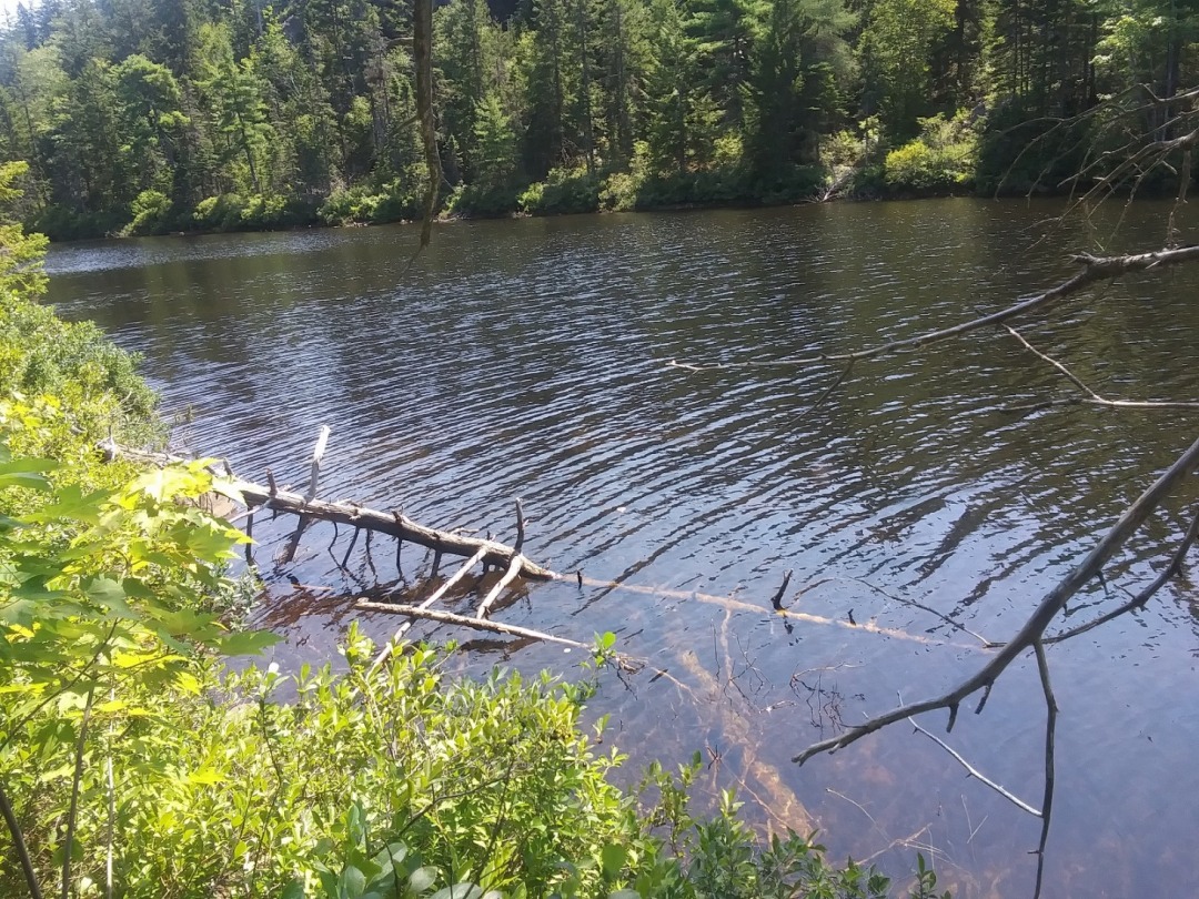 20200810_134604.jpg