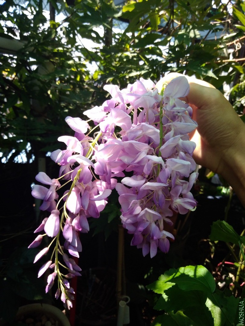 IMG_20200815_131035.jpg