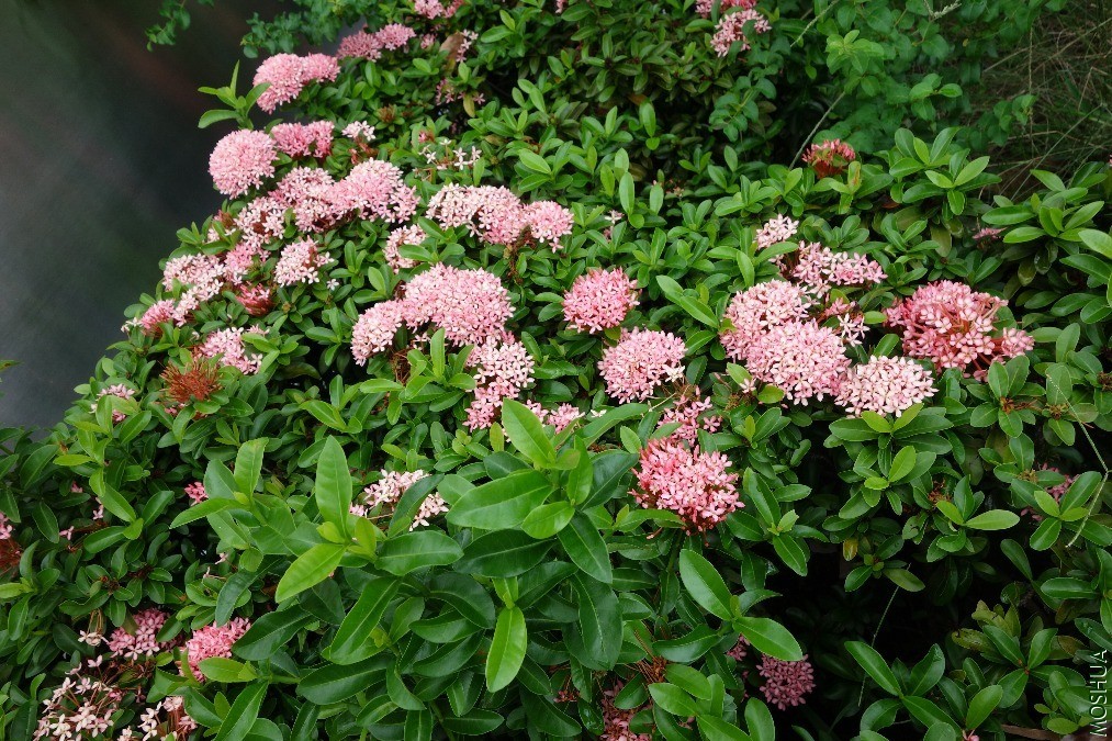 DSC05208.JPG