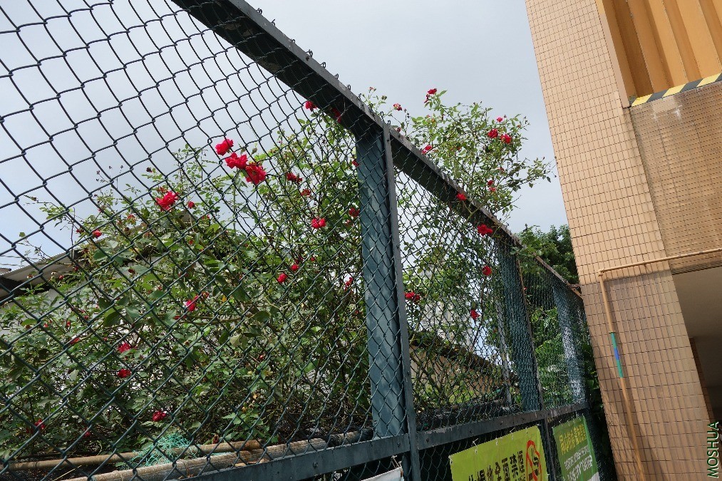 DSC05221.JPG