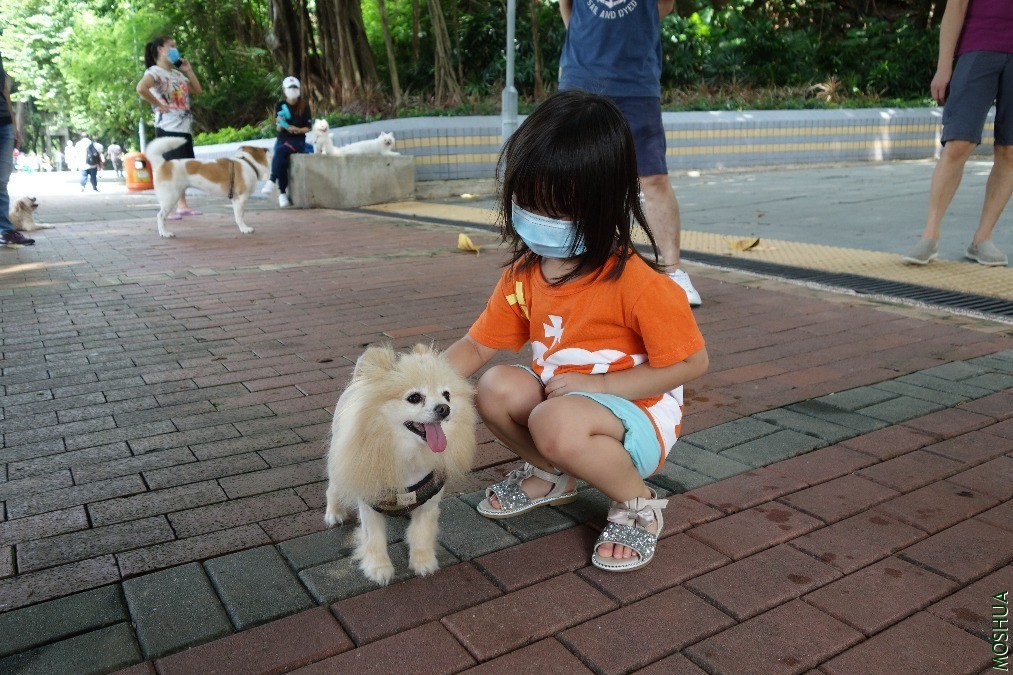 DSC05236.JPG