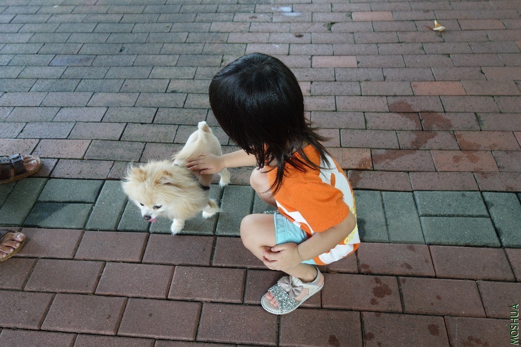 DSC05235.JPG