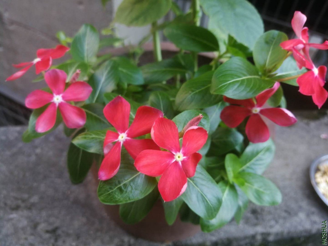 ΢��ͼƬ_20200907092844.jpg