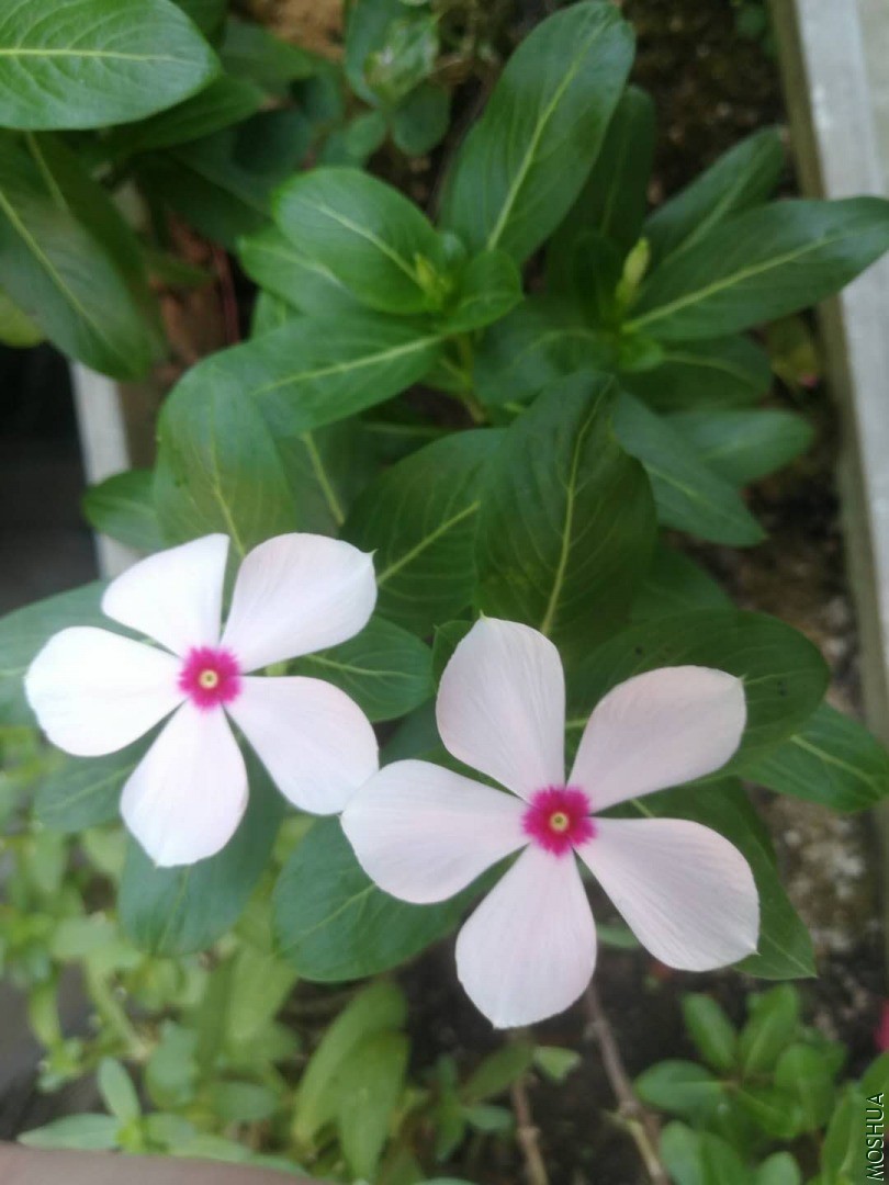 ΢��ͼƬ_20200907092851.jpg