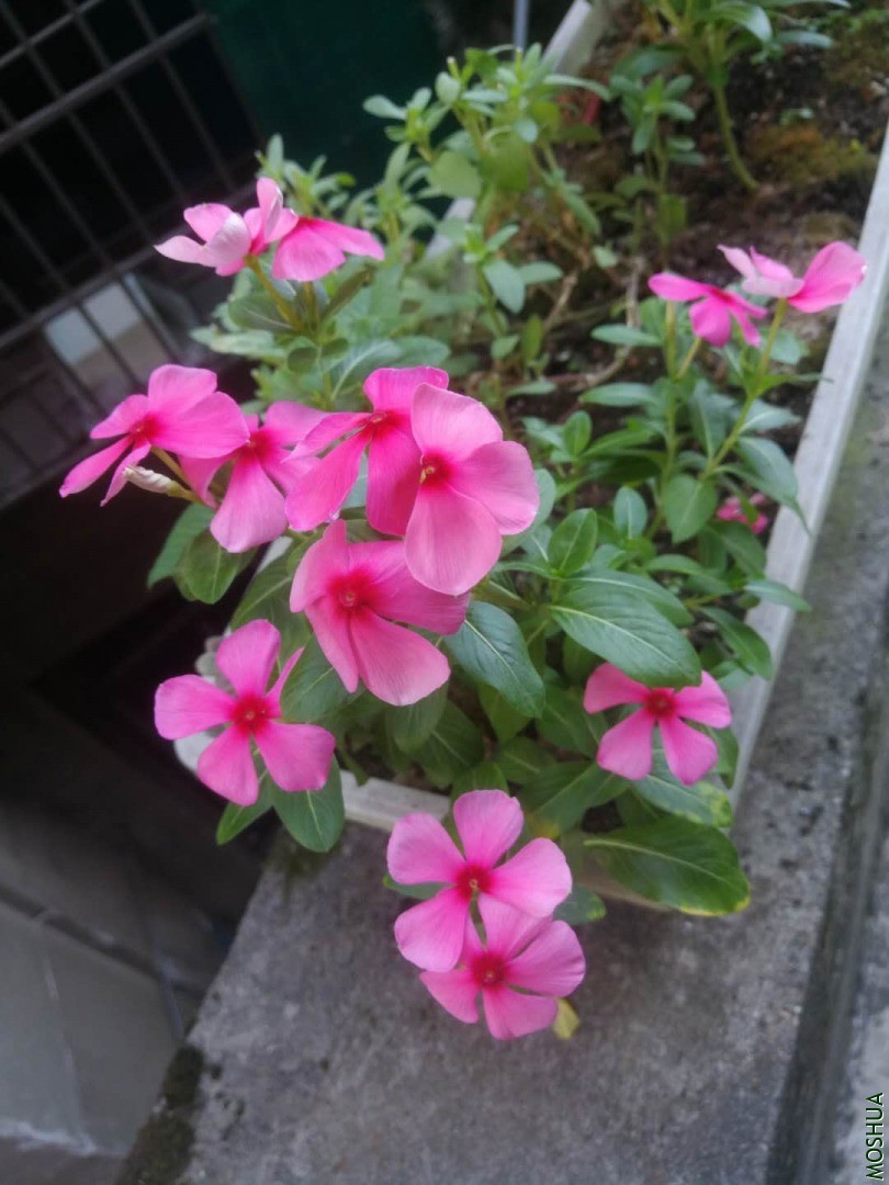 ΢��ͼƬ_20200907092825.jpg