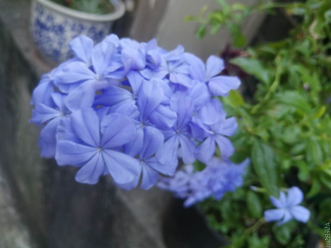 ΢��ͼƬ_20200907092856.jpg