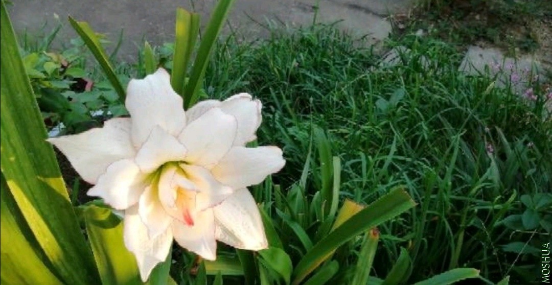 Screenshot_20200908_065447.jpg