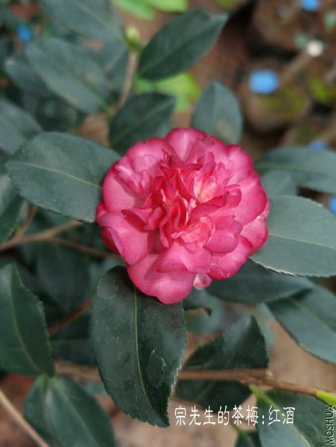 a1600311335050.jpg