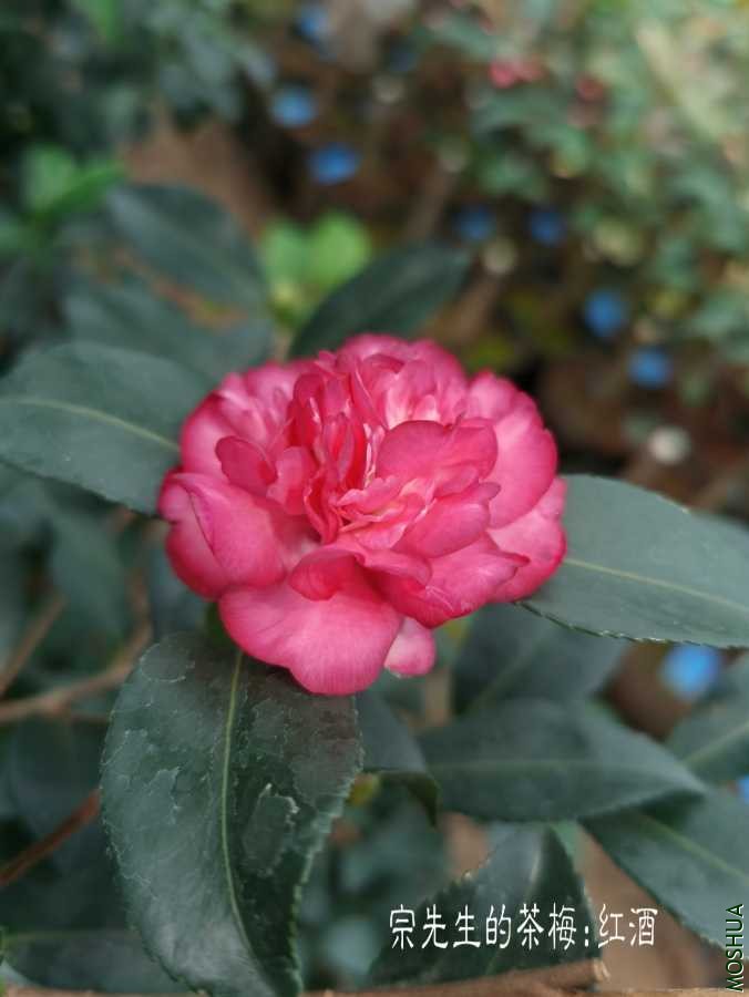 a1600311335217.jpg