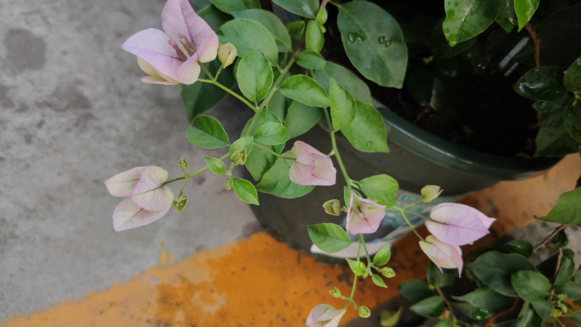 MVIMG_20200922_070448.jpg