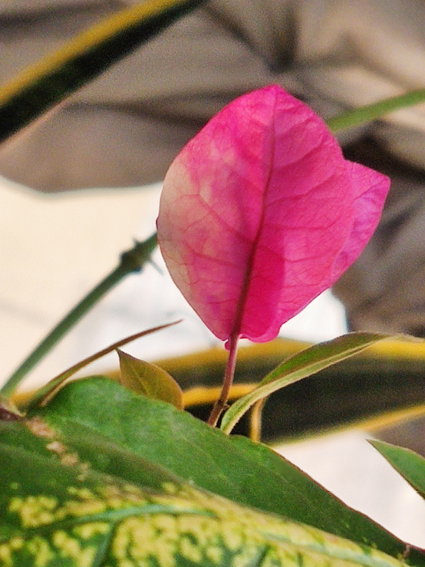 MVIMG_20200921_063537.jpg