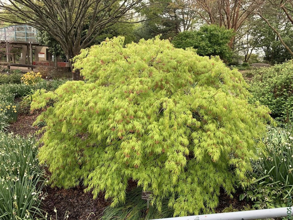 image_Walter Fall_1024x1024.jpg