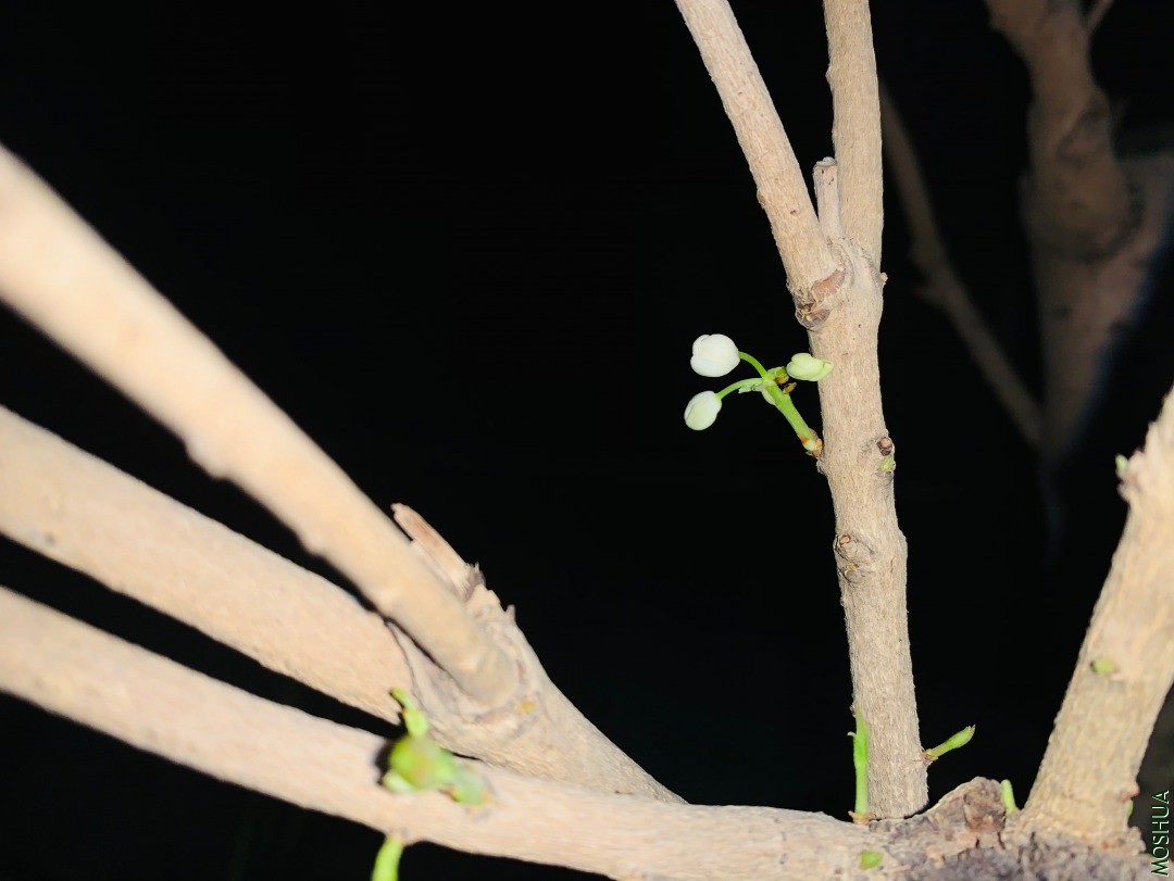 ΢��ͼƬ_20200925083311.jpg