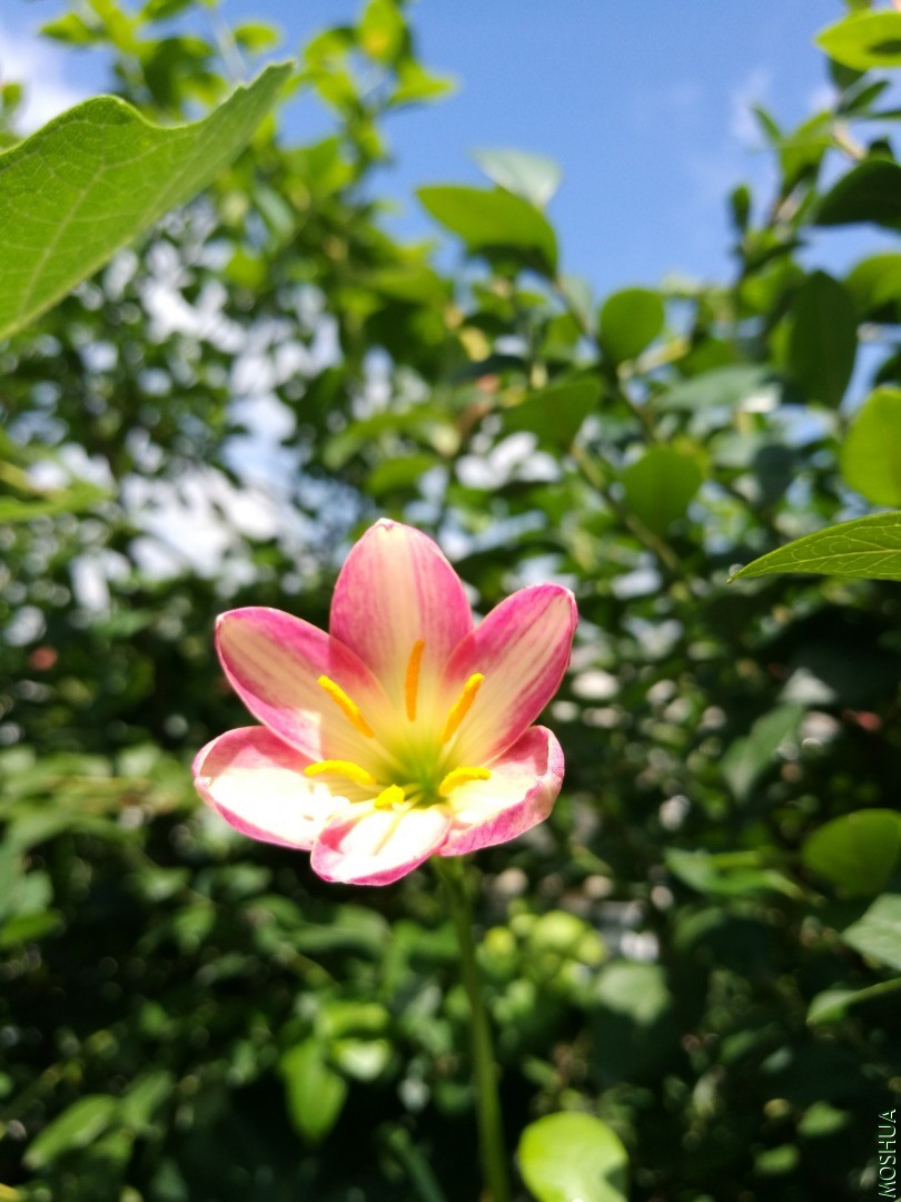 IMG_20190905_111656.jpg