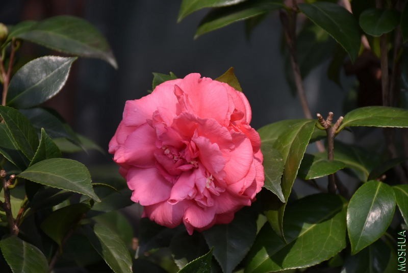 DSC_00220022.JPG