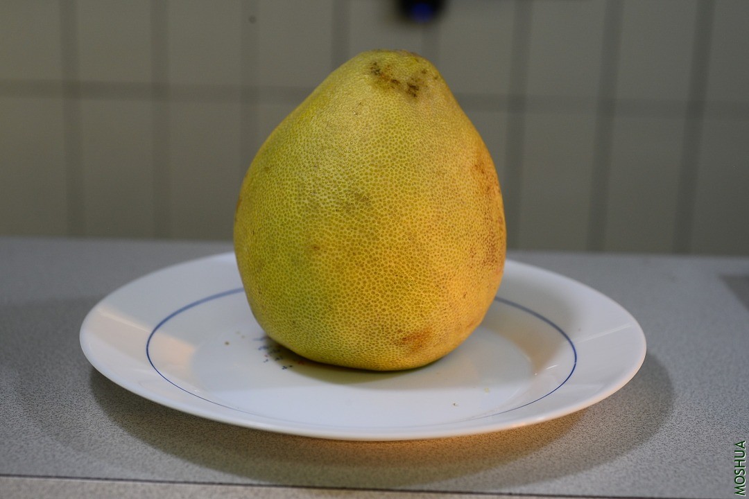 DSC_4125.JPG