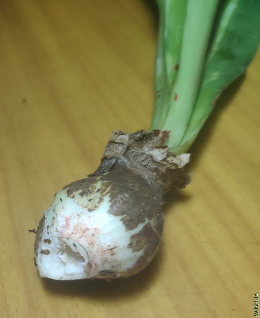 QQͼƬ20201005214737.jpg