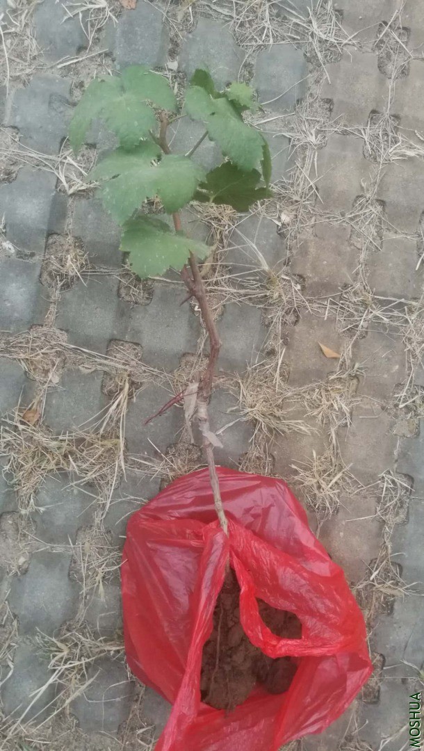��һ����֮��.jpg