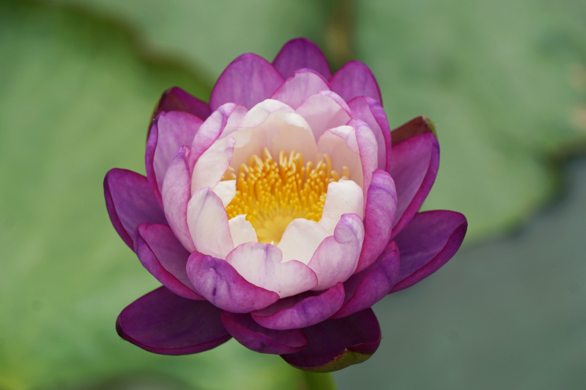 DSC01723_o,.jpg