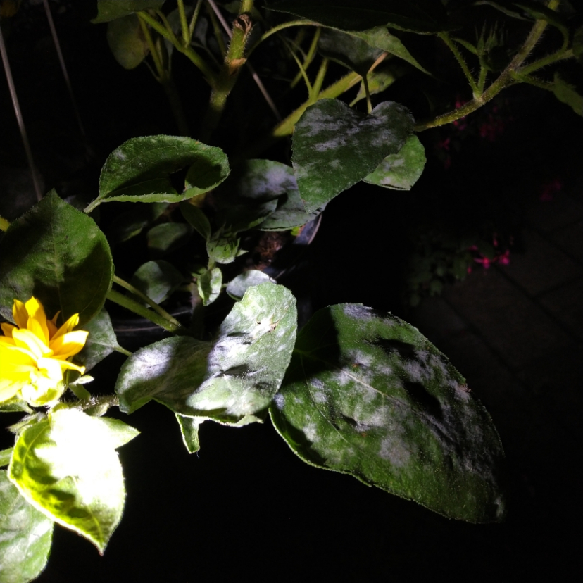 yhdq_20201010_203338.jpg