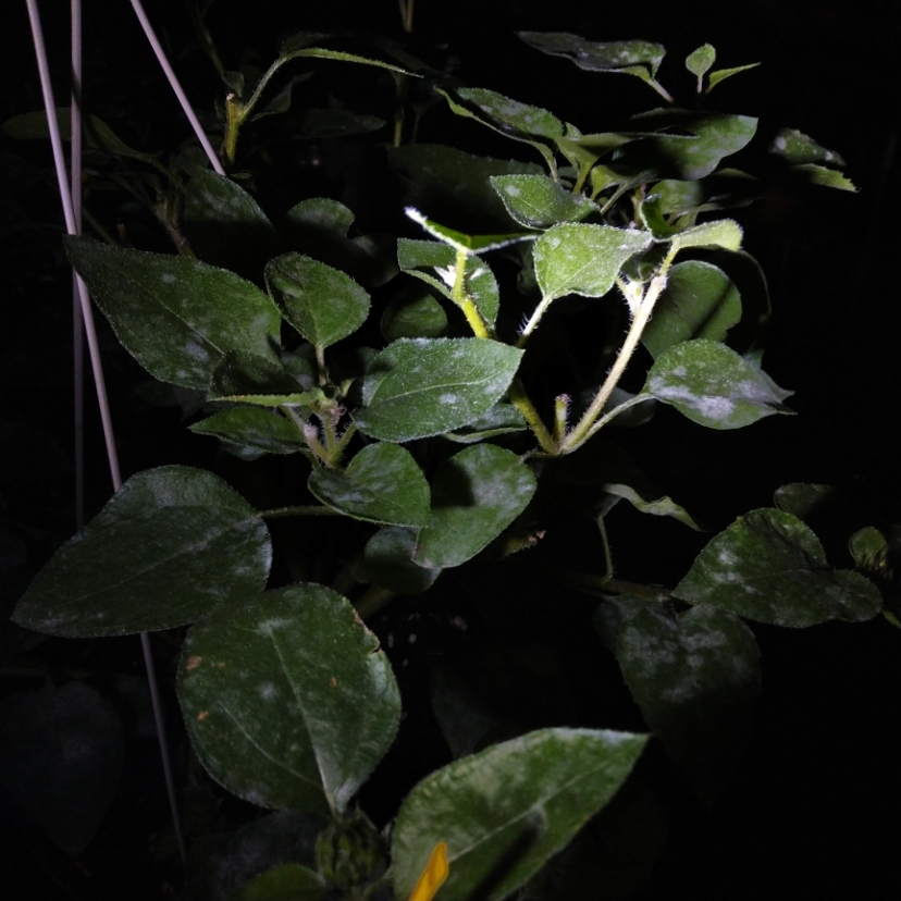 yhdq_20201010_203445.jpg