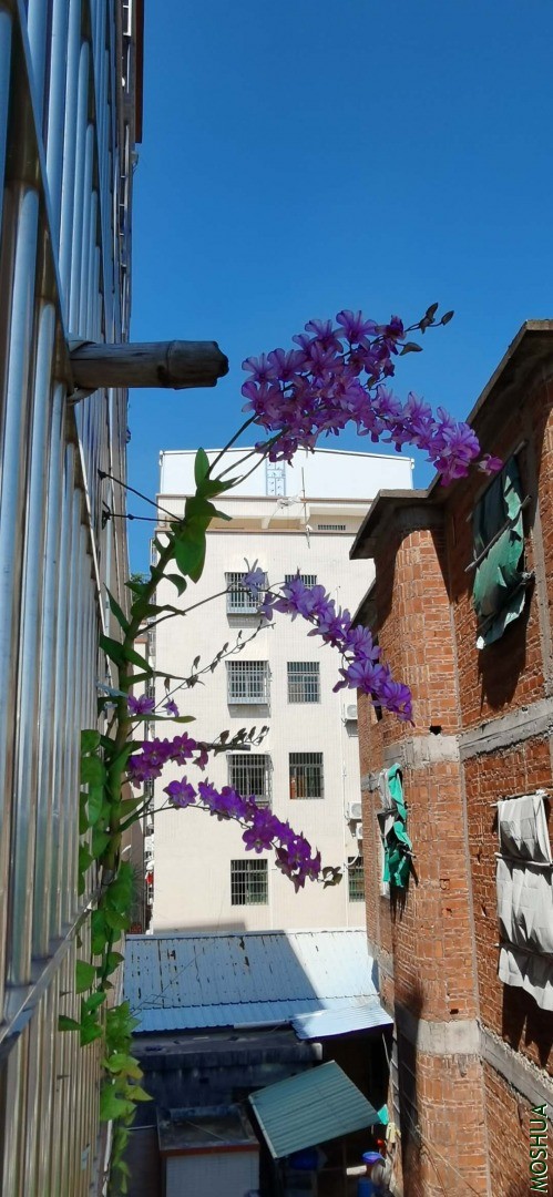 �����������ˣ���������