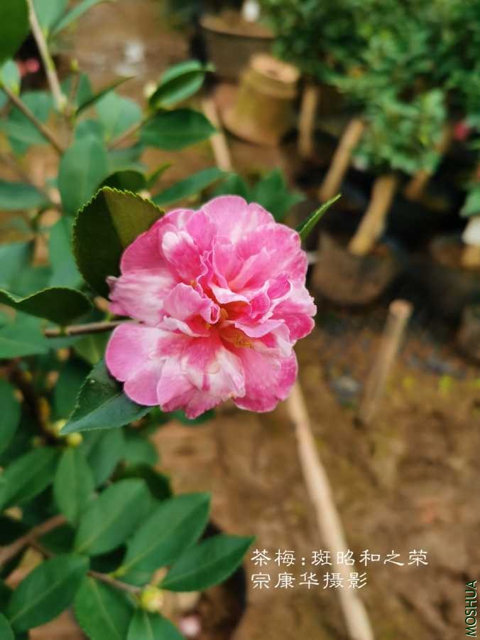 a1602679364488.jpg