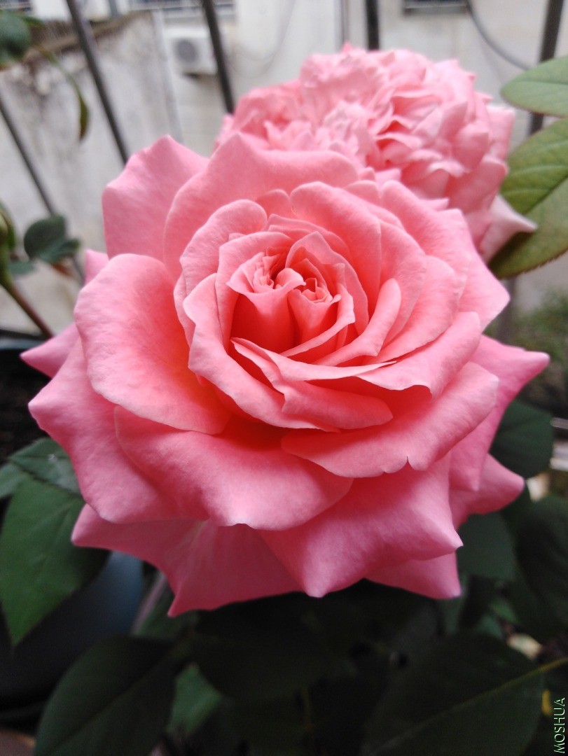 QQͼƬ20201016155038.jpg
