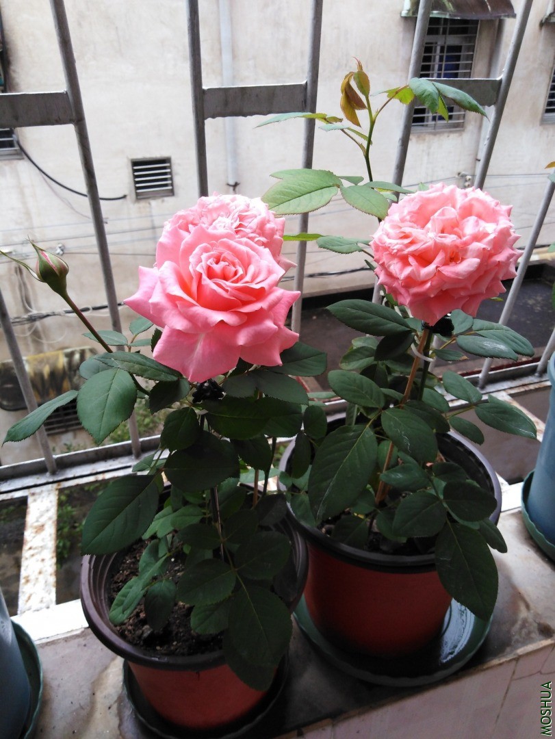 QQͼƬ20201016155031.jpg